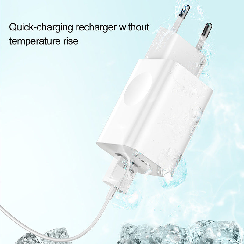 The Essential 3C Certified Fast Charging Mobile Phone Power Adapter